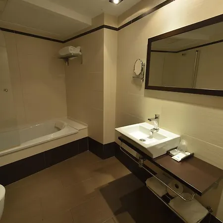 Hotel Ciutat D'amposta 3*